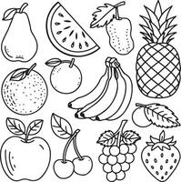 Fruits coloring page for kids colouring book page illustration vector