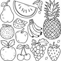 Fruits coloring page for kids colouring book page illustration vector