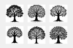 Sets of Tree Silhouette vector