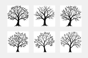 Tree with leaf white solid background vector