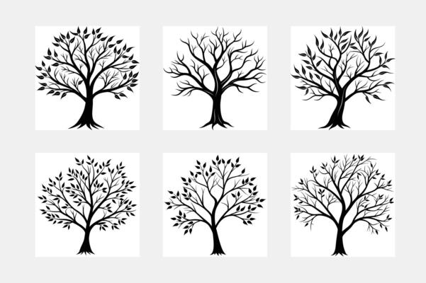 Tree with leaf white solid background
