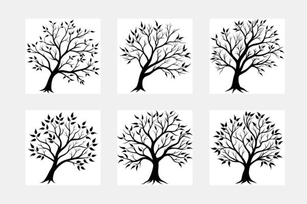 Tree with leaf white solid background