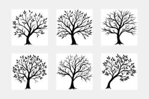 Tree with leaf white solid background vector