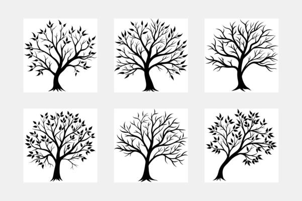 Tree with leaf white solid background