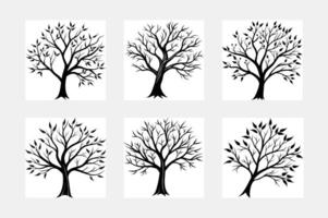 Tree with leaf white solid background vector