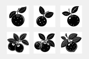 Blueberry fruit icon in black flat glyph, filled style isolated on white background vector