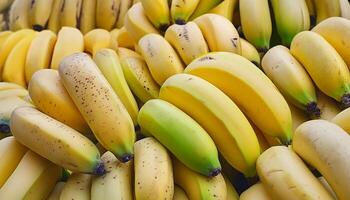 fresh bananas fruit photo
