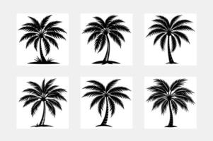 illustrations silhouette of palm trees. A set of black trees on a white background vector