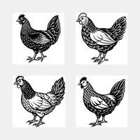 set of poultry domestic animals vector