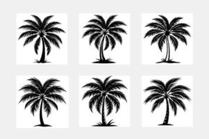 illustrations silhouette of palm trees. A set of black trees on a white background vector