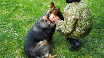 Military Dog and Handler on Field photo
