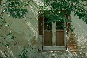 window with a view of the outside photo