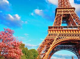 Eiffel tower in spring, plants in bloom. Spring background photo