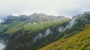 Panoramic view of the mountains peaks and mist coming out from the forest. video