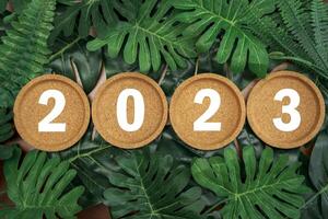 Cork coasters on tropical leaf background. 2023 Happy New Year with christmas lantern decorative on leaf. photo