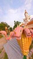 Smooth FPV flight in Buddhist temple In Vang Vieng, Laos video