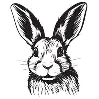 Hand-drawn portrait of rabbit. Easter bunny, sketch. vector