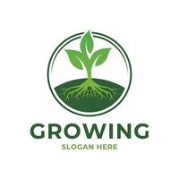 growing seed logo design concept idea with label circle vector