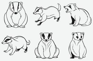 The Ultimate Guide to Badger , Insights, Applications, and Top Resources vector