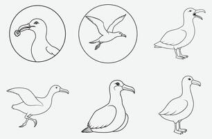 Exquisite Albatross Line Art Collection vector