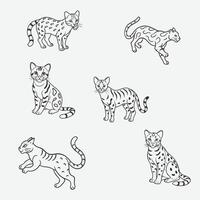 Stunning Ocelot Line Art Set Perfect for Your Creative Projects white background vector