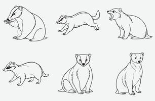 Ultimate Badger Line Art Set, Detailed and Artistic Illustrations for All Your Creative Needs vector