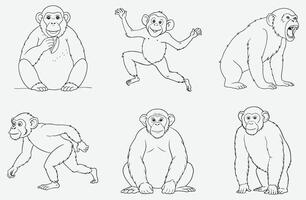 Ultimate Gorilla Line Art Set vector