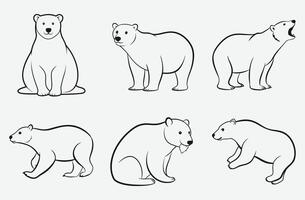 Majestic Polar Bear Line Art Set, Stunning High-Quality Designs for Your Creative Projects vector