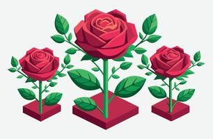 Exquisite Rose Isometric Illustrations on Pristine White Background vector