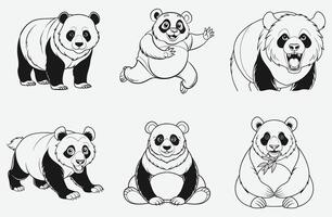 Giant Panda set white background vector