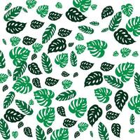 Monstera pattern background vector