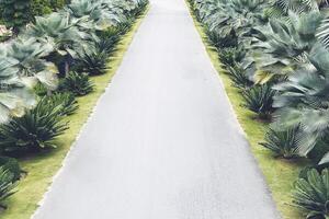 Empty asphalt road and New year 2021 concept. Driving on an empty road in the mountains to upcoming 2021 and leaving behind old 2020. Concept for success and passing time. photo