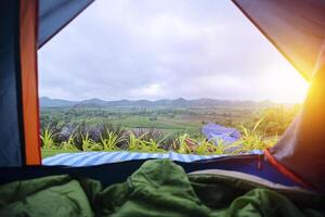 View from the canvas tent upon the green meadow with trees, mountain. POV photo