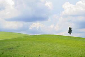 Beautiful green meadow field hill with white clouds and blue sky and tree photo