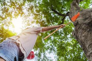 An Asian girl is adventuring in a wide world. Along with a bug catcher and Catching insects photo