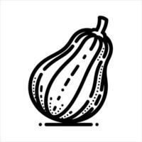 hand-drawn line illustration of squash or pumpkin vector