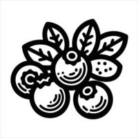 simple celan line art illustration of blueberries or cranberries vector