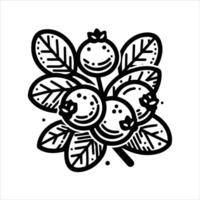 simple celan line art illustration of blueberries or cranberries vector