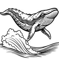 a whale jumping out of the water with waves vector