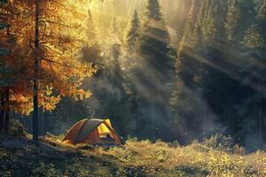 Orange tent illuminated by sunrays in a magical autumn forest photo