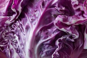Red cabbage showing intricate leaf pattern and texture photo