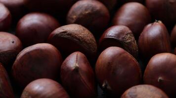 Closeup of brown roasted chestnuts nuts background video