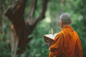 Serene monk reading in forest photo