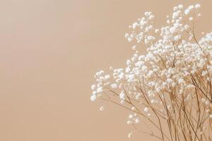Subtle Beige minimalist background with dry flowers. Generate ai photo