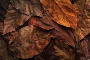 Closeup of dry autumn leaves in warm tones, creating a natural textured surface photo