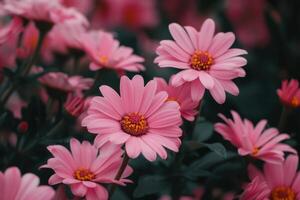 Alluring Beautiful pink flowers. Generate ai photo