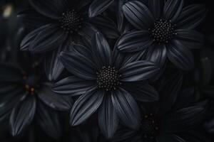 Captivating Black flowers. Generate Ai photo