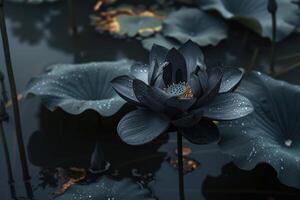 Enchanting Black lotus flower in dark. Generate Ai photo