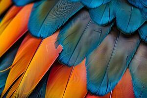Detailed closeup image showcasing the vivid colors and patterns of a macaw's feathers photo