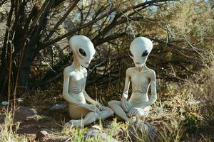 Two alien figures sit amidst desert vegetation, creating an otherworldly scene photo